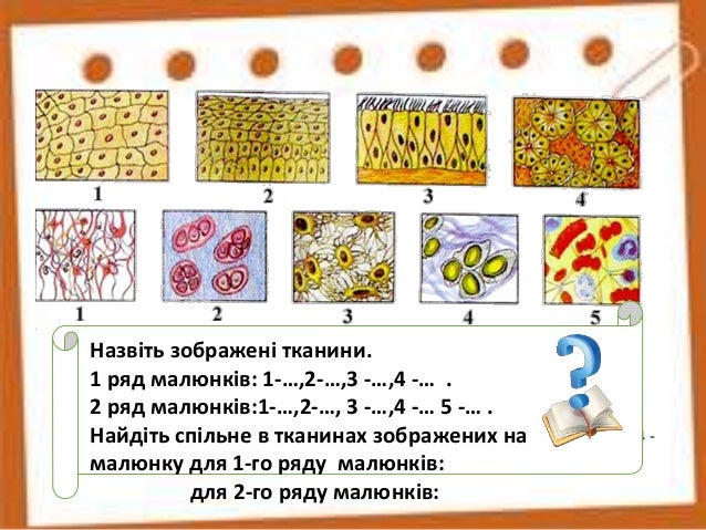 [PUNIQRANDLINE-(au-dating-names.txt) 61 Реферат на тему тканини людини 7940